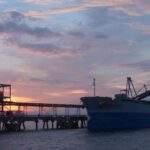 Indonesia moves to centralise commodity exports through state-run trading arm